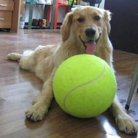 Dog rubber molar tennis